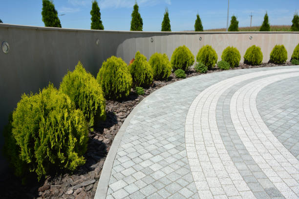 Best Residential Paver Driveway  in Ames Lake, WA